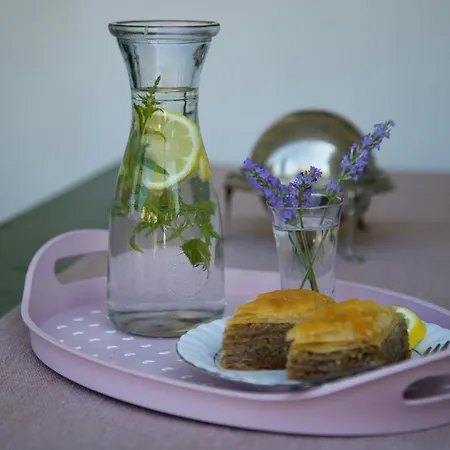 Appartement Flumen *