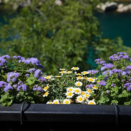 Flumen 公寓 莫斯塔尔