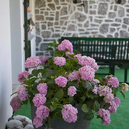Flumen Apartman *